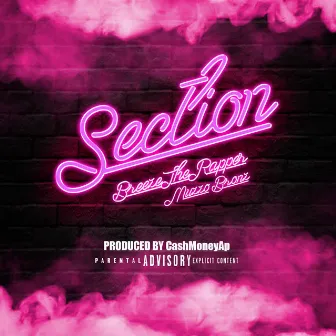 Section by Cash Money Ap