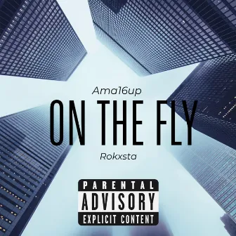 ON THE FLY by Ama16up