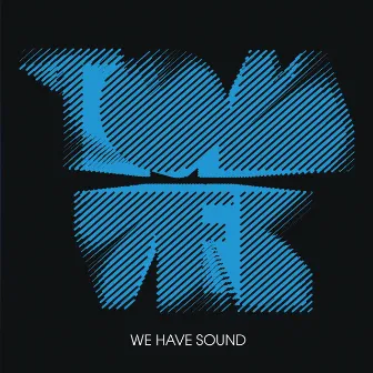 We Have Sound by Tom Vek