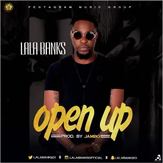 Open Up by Lala Banks