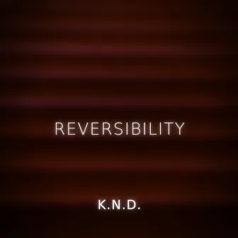 Reversibility by K.N.D.