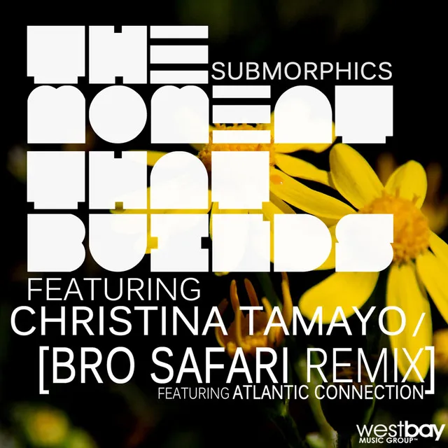 The Moment that Builds - Bro Safari & Atlantic Connection Remix