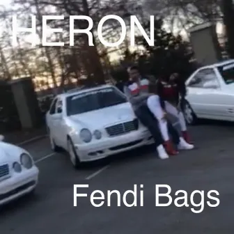 Fendi Bags by HERON