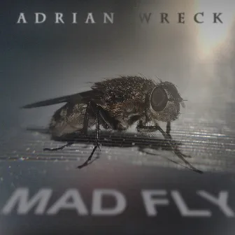 Madfly by Adrian Wreck