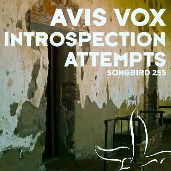 Introspection Attempts by Avis Vox