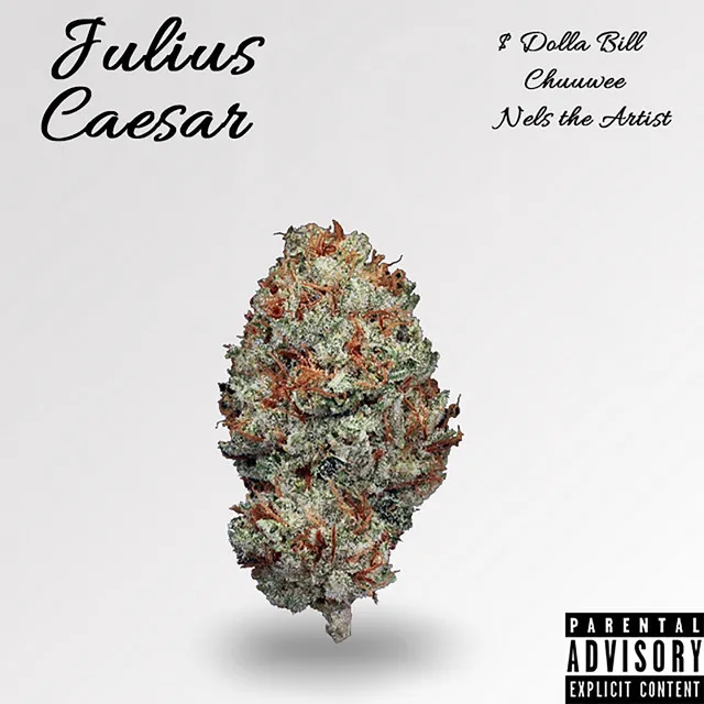 Julius Caesar