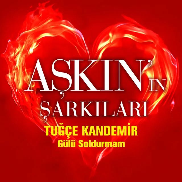 Gülü Soldurmam - Aşkın'ın Şarkıları