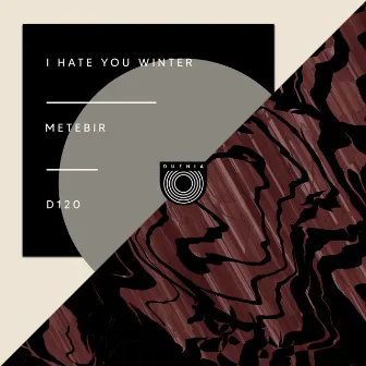 I Hate You Winter by Metebir