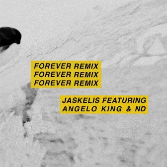 Forever (Remix) by Jaskelis