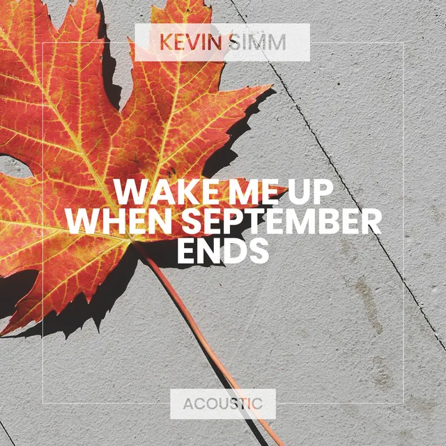 Wake Me Up When September Ends - Acoustic