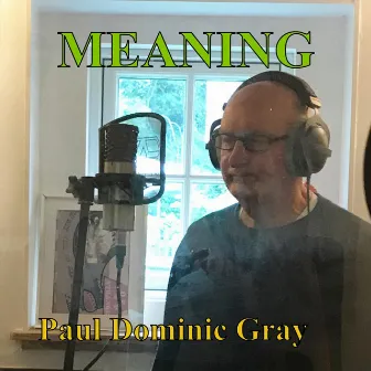 Meaning by Paul Dominic Gray