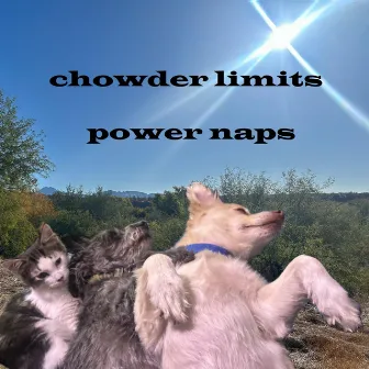 power naps by Chowder Limits