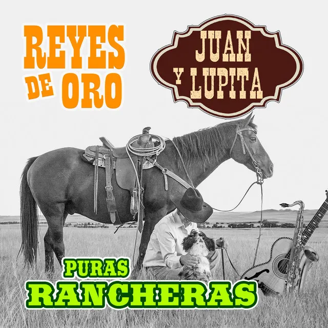 Piquito De Oro (Norteño)