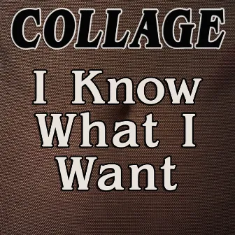 I Know What I Want by Collage