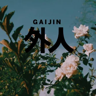 Lullaby by Gaijin