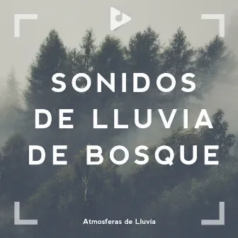 Sonidos de Lluvia de Bosque by Atmósferas de Lluvia