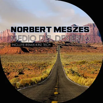 Medio Del Desierto by Norbert Meszes