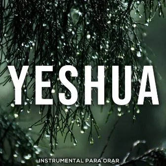 Yeshua by Instrumental Para Orar