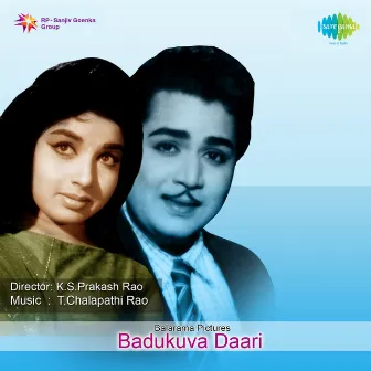 Badukuva Daari (Original Motion Picture Soundtrack) by Hunsur Krishnamurthy