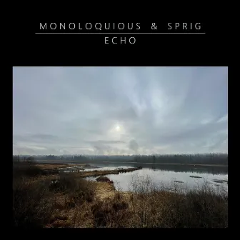 Echo by Monoloquious