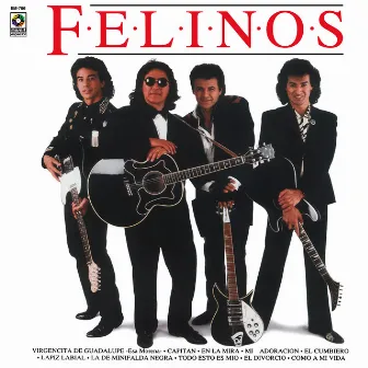 Felinos by Los Felinos