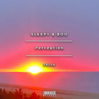 Perception by Sleepy & Boo