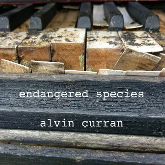 Alvin Curran: Endangered Species by Alvin Curran