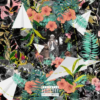 Flowers and Planes by Tuki Carter