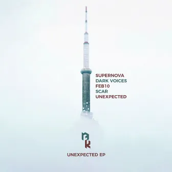 Unexpected by Noise Killers