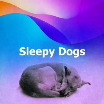 Sleepy Dogs by Calm Dog Music