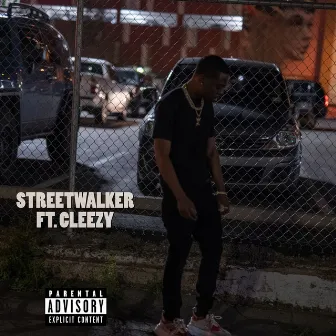 Streetwalker by Lando Richh