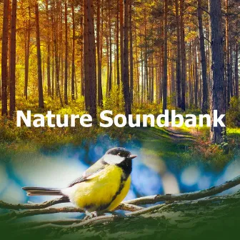 Nature Soundbank by Nature Soundscapes