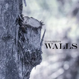 Walls by Sivan Amran