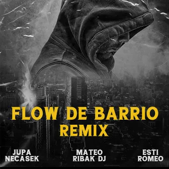 Flow de Barrio (Remix) by Esti Romeo