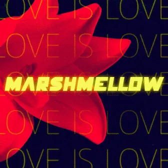 Love Is Love by Marshmellow