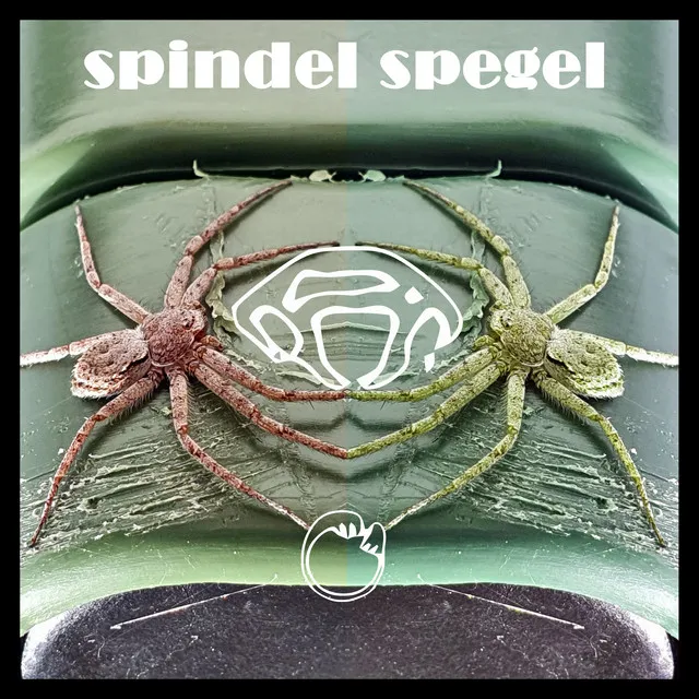 Spindel Spegel