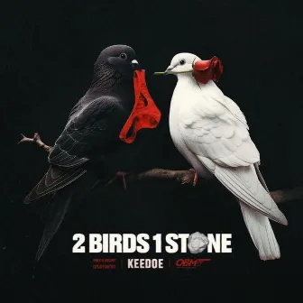 2 Birds 1 Stone by Keedoe