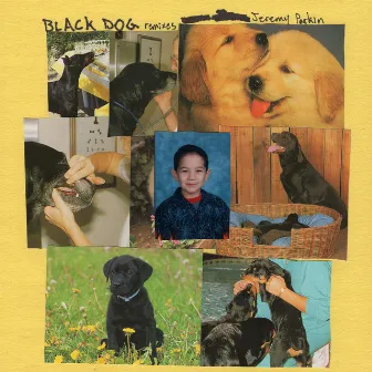 Black Dog (Remixes) by Jeremy Parkin