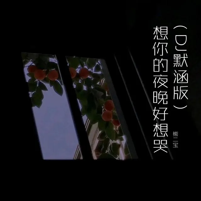 想你的夜晚好想哭 - DJ默涵版伴奏