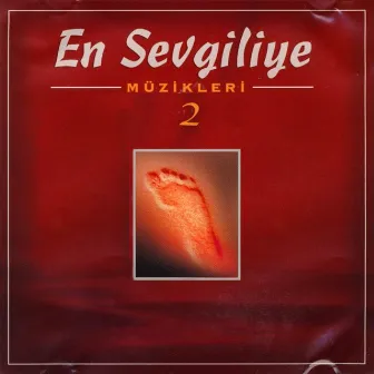 En Sevgiliye Müzikleri 2 (Enstrümantal) by Dursun Ali Erzincanlı