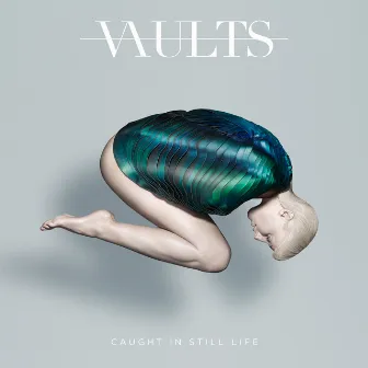 Caught In Still Life by Vaults