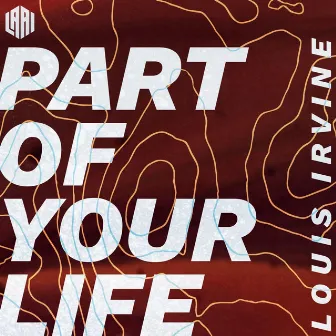 Part of Your Life by Louis Irvine