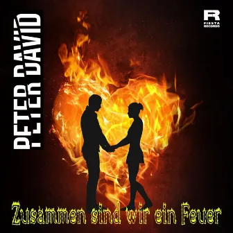 Zusammen sind wir ein Feuer by Peter David