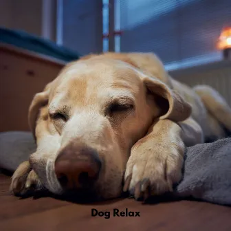 Dog Relax by Dog Chill Out Music