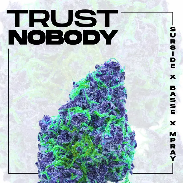 Trust Nobody