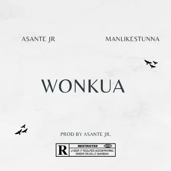 Wonkua by Asante JR