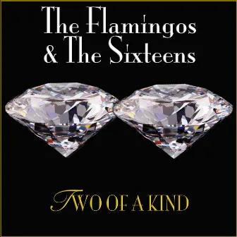 2 of a Kind by The Flamingos