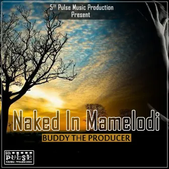 Naked In Mamelodi by 