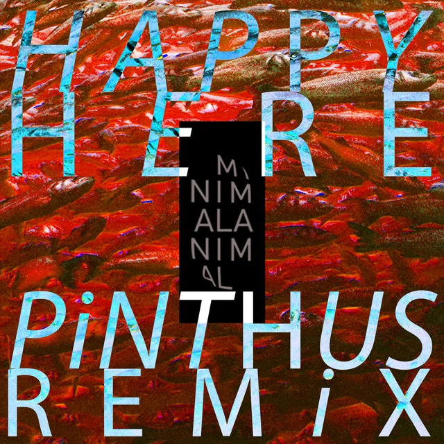 Happy Here (Pinthus Remix)