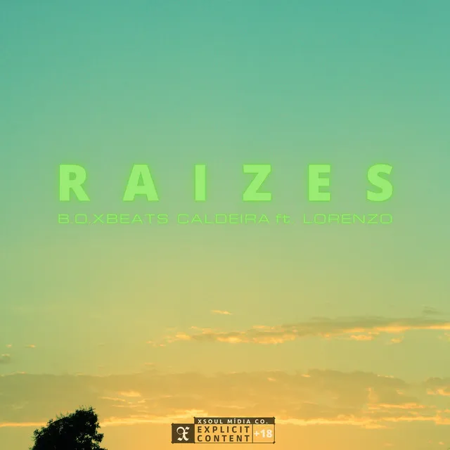 Raizes